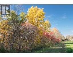 13590 LONGWOODS ROAD - 44
