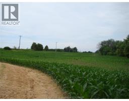 7914 HAGGERTY ROAD - 41