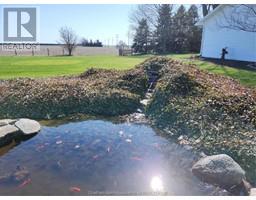 7703 BASE LINE ROAD - 32