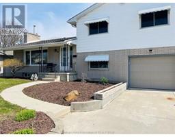 39 Wyandott STREET - 46