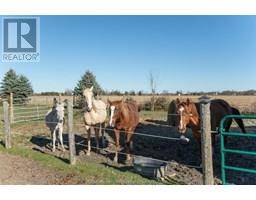 2352 OIL HERITAGE ROAD - 37