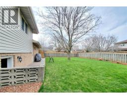 88 Norway Maple DRIVE - 27