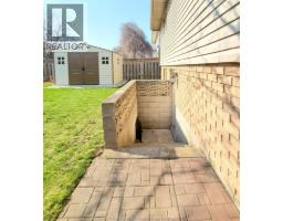 88 Norway Maple DRIVE - 29