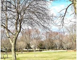 253 Cecile AVENUE - 44