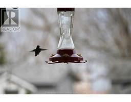 8621 Talbot TRAIL - 44