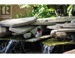 8621 Talbot TRAIL - 47