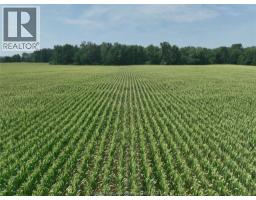 195 SECOND CONCESSION ROAD - 44