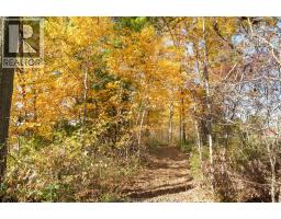 13590 LONGWOODS ROAD - 45