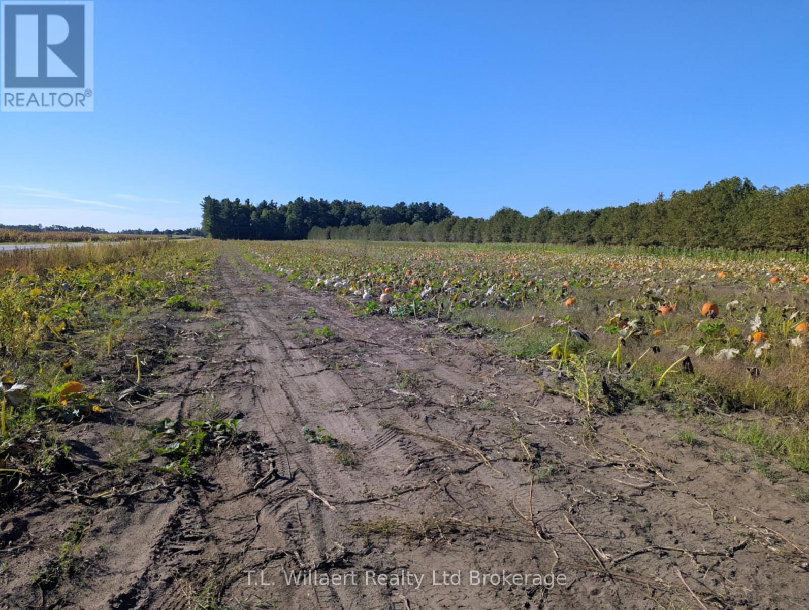 7343 PLANK ROAD, Bayham (Straffordville)