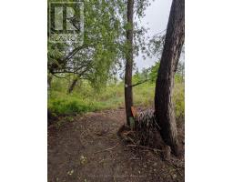 237 - 99 FOURTH CONCESSION ROAD - 10