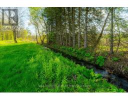 1516 CHARLOTTEVILLE WEST QUARTER LINE ROAD - 41