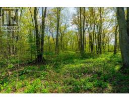 1516 CHARLOTTEVILLE WEST QUARTER LINE ROAD - 46