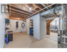 57185 EDEN LINE - 37