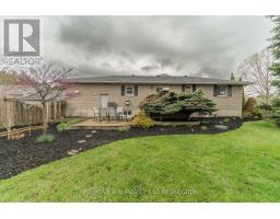 57185 EDEN LINE - 7