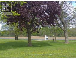 324554 MOUNT ELGIN ROAD - 3
