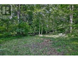 54427 TALBOT LINE - 38