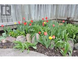 14 ELGIN STREET W - 38