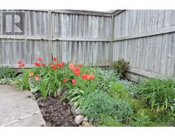 14 ELGIN STREET W - 39
