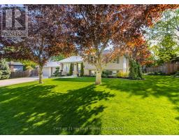 11 MILLARD STREET - 4