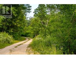 55833 EDEN LINE - 22