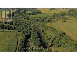 5629 CATHERINE STREET - 11