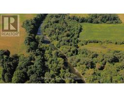 5629 CATHERINE STREET - 27
