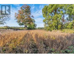 PT LT 3-4 CON E/S NORTH ROAD - 21