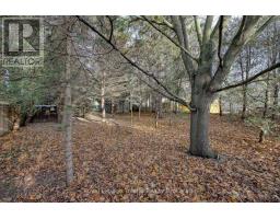 146 WHITING STREET - 19