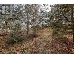 146 WHITING STREET - 21