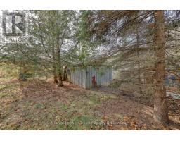 146 WHITING STREET - 22