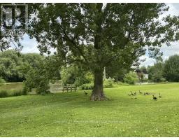 2 WHYLIE - 596101 OXFORD 59 HIGHWAY - 19