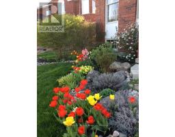 11 JOHN DAVIES DRIVE - 31