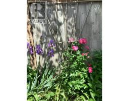 11 JOHN DAVIES DRIVE - 33