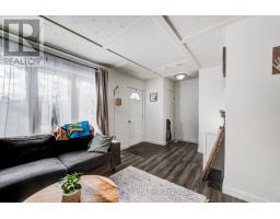 393 ODLUM DRIVE - 7