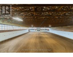 55226 BEST LINE - 24