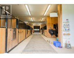 55226 BEST LINE - 40