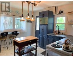 11 Elizabeth Street, MLS X12205090
