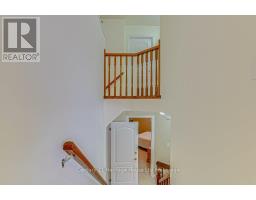 704 ANZIO ROAD - 20