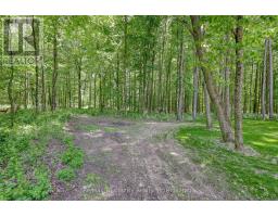 1498 12TH CONCESSION ROAD - 37