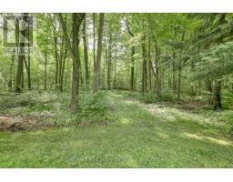 50 ROKEBY SIDE ROAD - 11