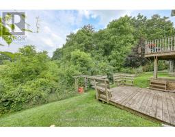 36 ROSSITER ROAD - 35