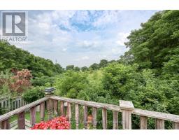 36 ROSSITER ROAD - 43