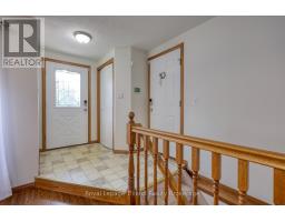 36 ROSSITER ROAD - 5