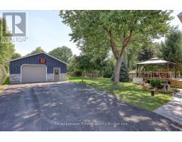 12 NEWTON STREET - 41