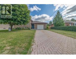 81 BEE STREET - 2