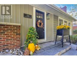 16 CHARLOTTE AVENUE - 6