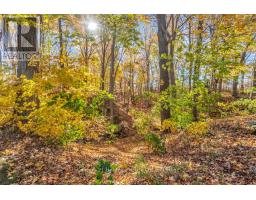 57225 TALBOT LINE - 24