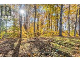 57225 TALBOT LINE - 27