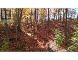 57225 TALBOT LINE - 32