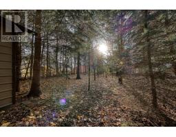 146 WHITING STREET - 17